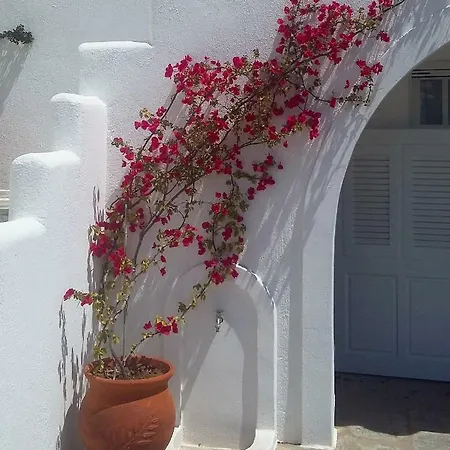 Andrielos * Parasporos
