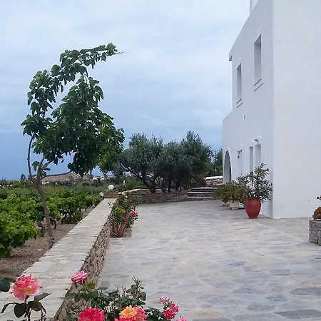 Andrielos * Parasporos